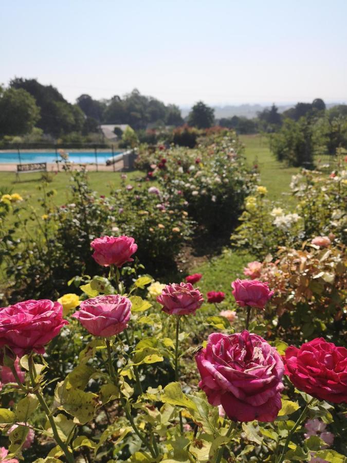 Gite De La Roseraie Louchy-Montfand Exteriér fotografie