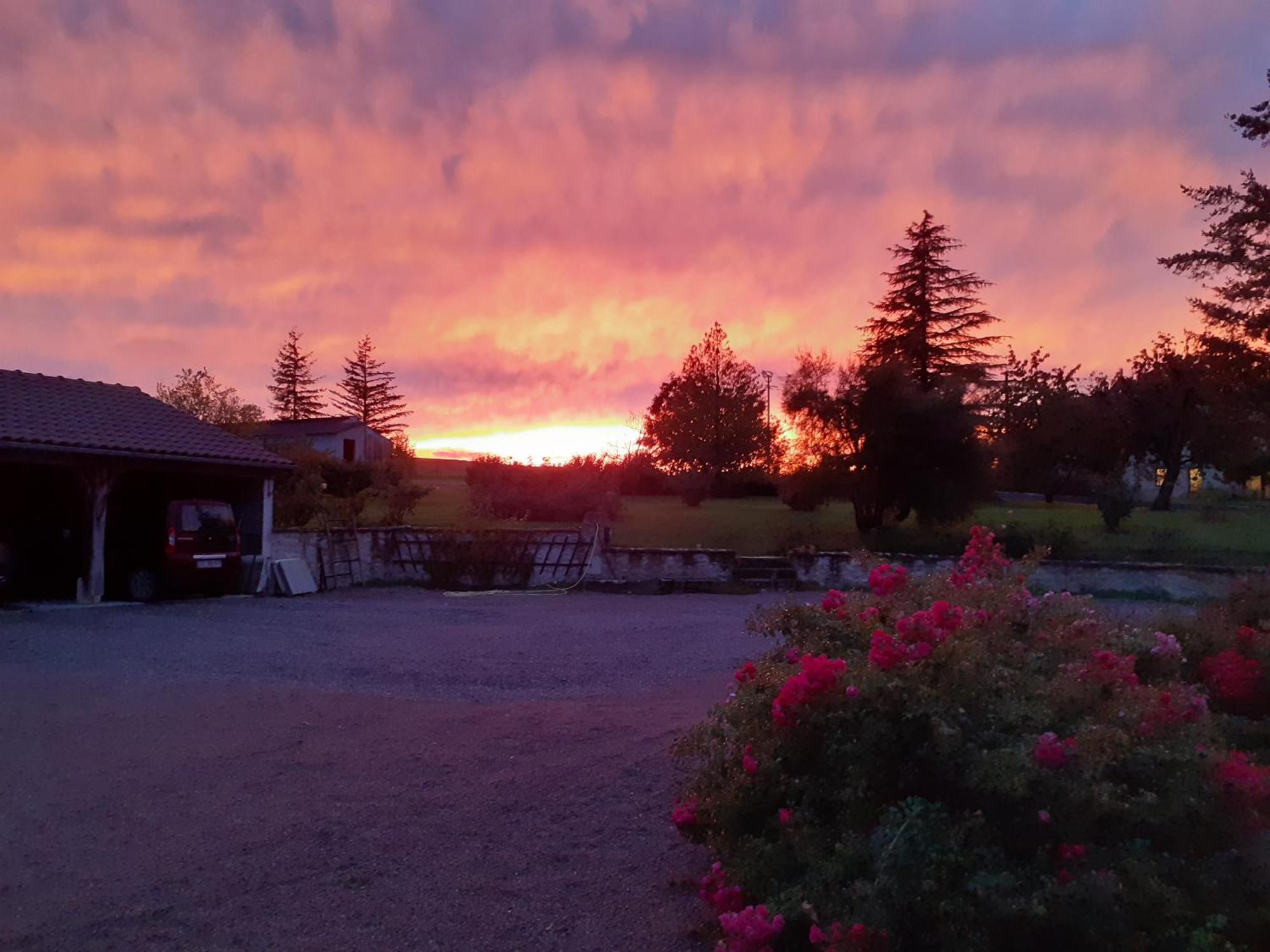 Gite De La Roseraie Louchy-Montfand Exteriér fotografie